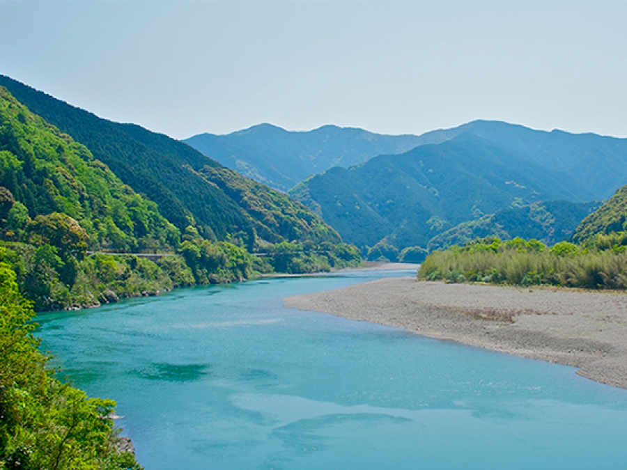 高知県 の買取