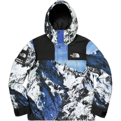 シュプリームThe North Face Mountain Parkaマウンテンパーカー